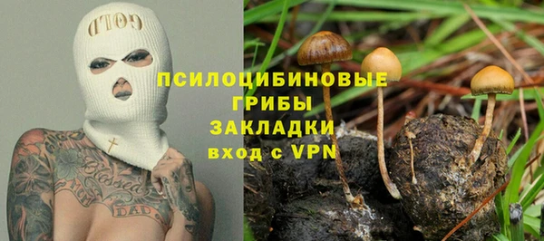 мдпв Армянск