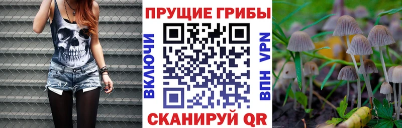 купить наркотики цена  MEGA ТОР  Псилоцибиновые грибы Psilocybine cubensis  Талдом 